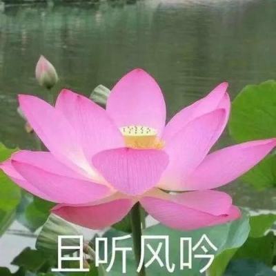 李强将出席第十五届夏季达沃斯论坛
